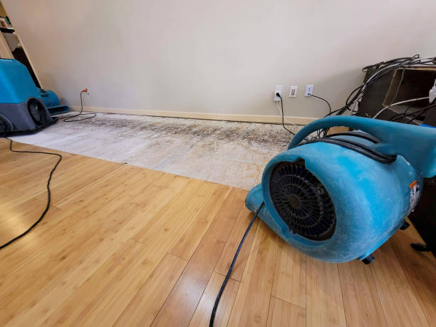 Professional Flood Damage Cleanup technician working in Saint Amant, LA